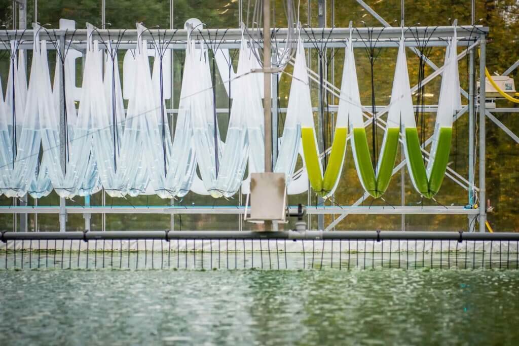 Windrad vor Wolkenformationen als Symbol für erneuerbare Energien im Kontext nachhaltiger Lebensmittelproduktion